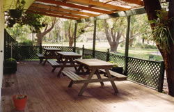 Sun Valley Tourist Park - Kingaroy Accommodation 1