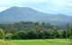 Bellingen Farmstay - thumb 4