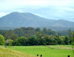 Bellingen Farmstay - Kingaroy Accommodation 4