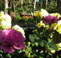 Ford House Retreat - Kingaroy Accommodation