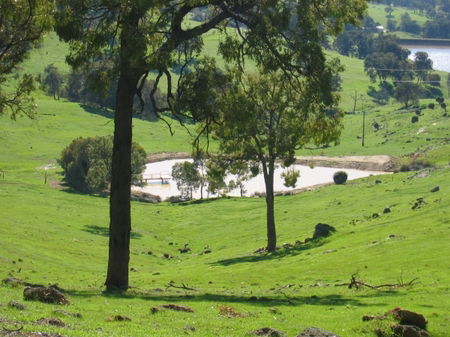 Vista Ridge Estate - Top Paddock Cottage - Kingaroy Accommodation 3