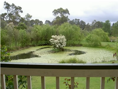 Moss Brook Bed And Breakfast - Kingaroy Accommodation 1