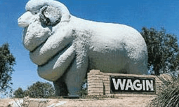 Wagin Motel - Kingaroy Accommodation 0