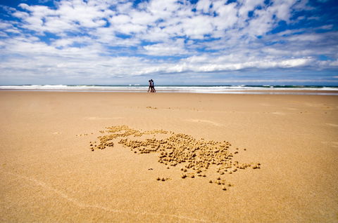 BIG4 Nambucca Beach Holiday Park - Kingaroy Accommodation 1
