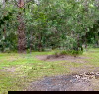 Blue Gum Flat campground - Kingaroy Accommodation