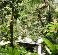 Daintree Ecolodge - Kingaroy Accommodation