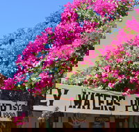 Daly Waters Historic Pub - Kingaroy Accommodation