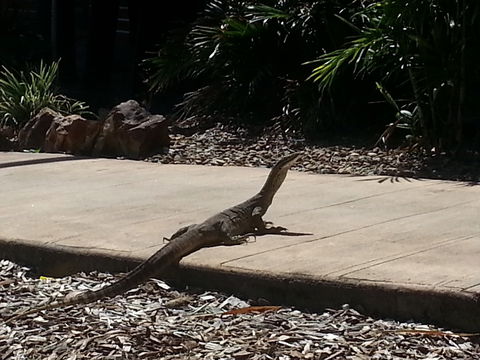 Escape 1770 - Kingaroy Accommodation 2