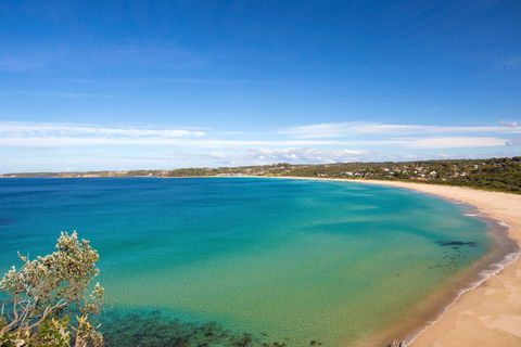 Footsteps To Mollymook Beach - Kingaroy Accommodation 2