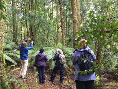 Forest Walks Lodge - Eco-Accommodation - Kingaroy Accommodation 1