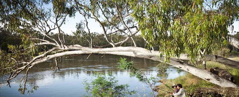 Hay Caravan Park - Kingaroy Accommodation 1