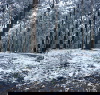 High Peaks Cottages - Kingaroy Accommodation