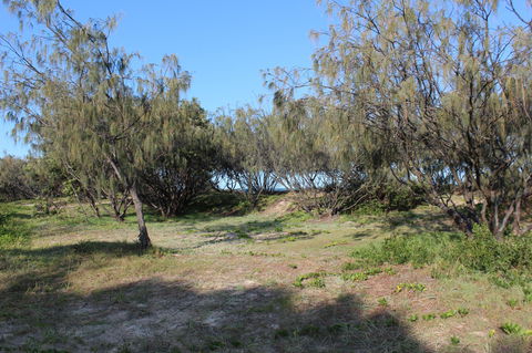 K'gari (Fraser Island) Camping, Great Sandy National Park - Kingaroy Accommodation 1