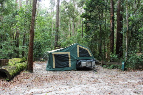 K'gari (Fraser Island) Camping, Great Sandy National Park - Kingaroy Accommodation 2