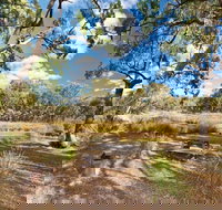 Kings Plains Creek campground - Kingaroy Accommodation