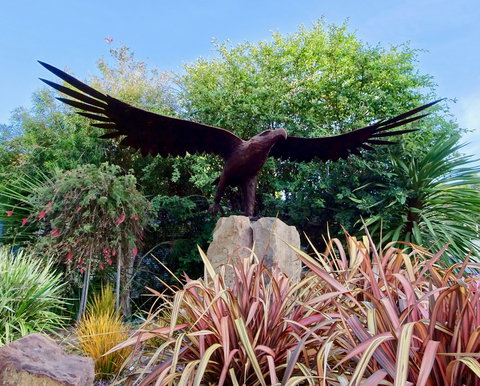 Lilydale Pine Hill Caravan Park - Kingaroy Accommodation 1