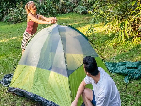 Native Dog Campground - Kingaroy Accommodation 0