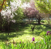 Sofala Cottage - Kingaroy Accommodation