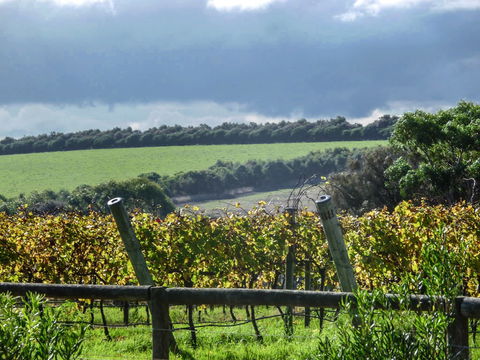 Suma Park Estate - Kingaroy Accommodation 1