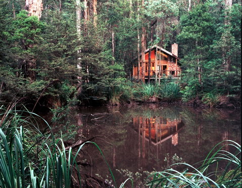 Woodlands Rainforest Retreat - Kingaroy Accommodation 0