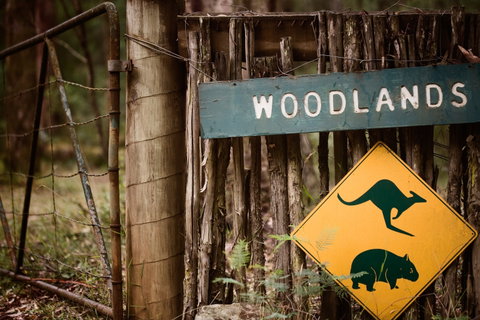 Woodlands Rainforest Retreat - Kingaroy Accommodation 1