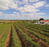 1837 Barossa Luxury Vineyard Cottages - Kingaroy Accommodation