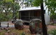 31 The Rocks - thumb 1