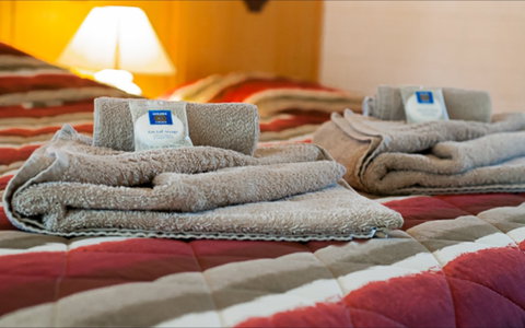 Angaston Vineyards Motel - Kingaroy Accommodation 1