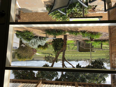 Bed In A Shed Unique Vineyard Accommodation - Kingaroy Accommodation 0