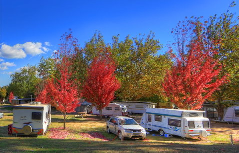 Beechworth Lake Sambell Caravan Park - Kingaroy Accommodation 0