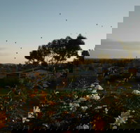 Belubula Cottage Canowindra - Kingaroy Accommodation