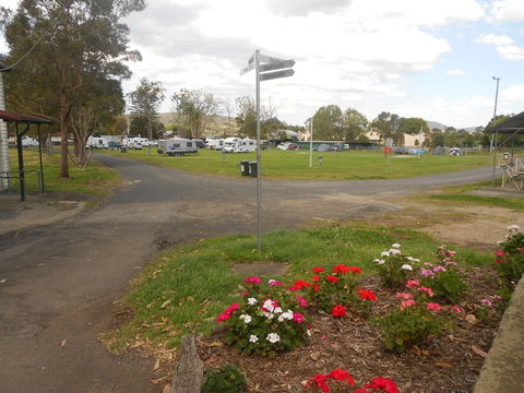 Berry Showground Camping - Kingaroy Accommodation 1
