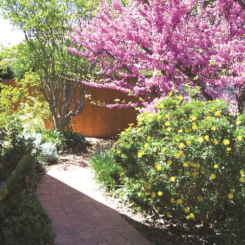 Country Gardens Motor Inn - Kingaroy Accommodation 1