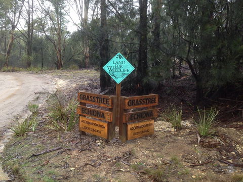 Echidna On Bruny - Kingaroy Accommodation 1