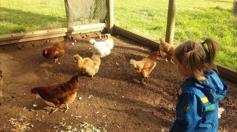 Emerald Park Holiday Farm - Kingaroy Accommodation 2