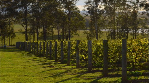 H Boutique Hotel - Kingaroy Accommodation 0