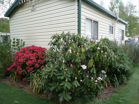 Jenolan Caravan Park - Kingaroy Accommodation 0