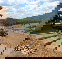 Lonely Goat Olive Farm