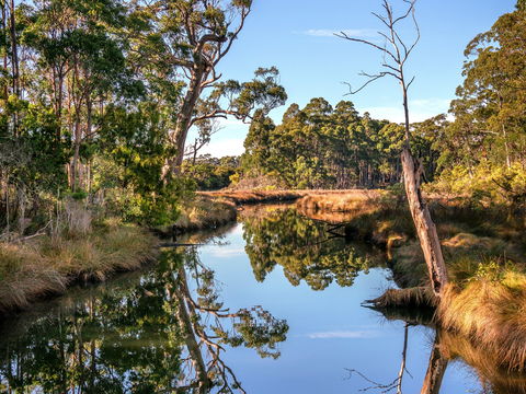 Saintys Creek Cottage - Kingaroy Accommodation 1