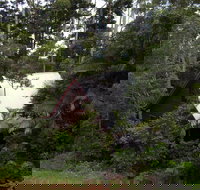 Turkeys Nest Rainforest Cottages Mt Glorious - Kingaroy Accommodation