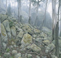 Waratah Gully campground - Kingaroy Accommodation