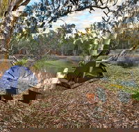 Woolpress Bend campground - Kingaroy Accommodation