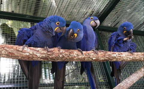 Ashmore Palms Holiday Village - Kingaroy Accommodation 2