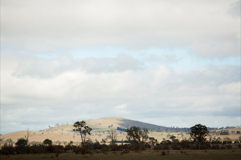 Aurelias Farm Bed And Breakfast - Kingaroy Accommodation 1