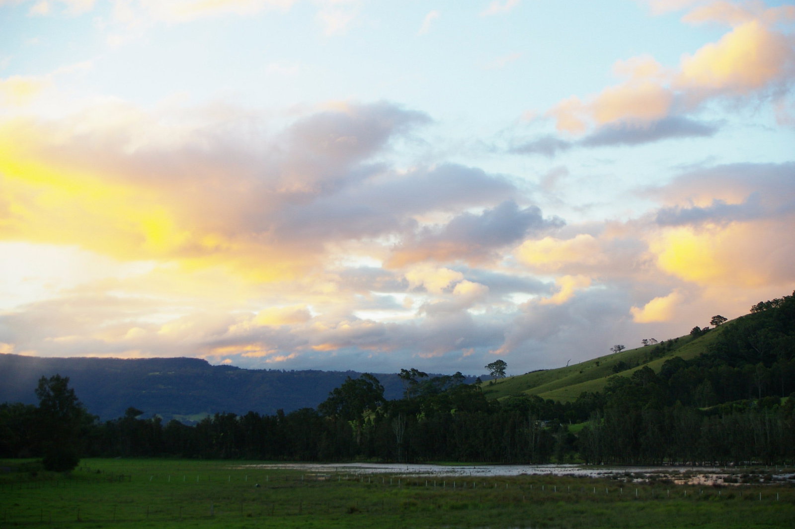 Back Forest NSW Kingaroy Accommodation