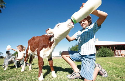 Charlotte Plains - Kingaroy Accommodation 1