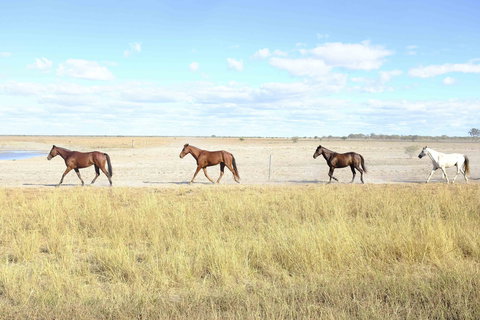 Charlotte Plains - Kingaroy Accommodation 2