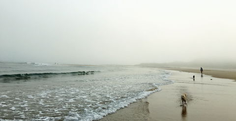 Drift Beach Shack - Kingaroy Accommodation 0