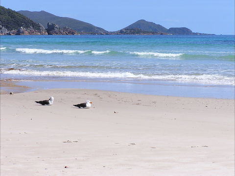 Eagles Rise Tasmania - Kingaroy Accommodation 0