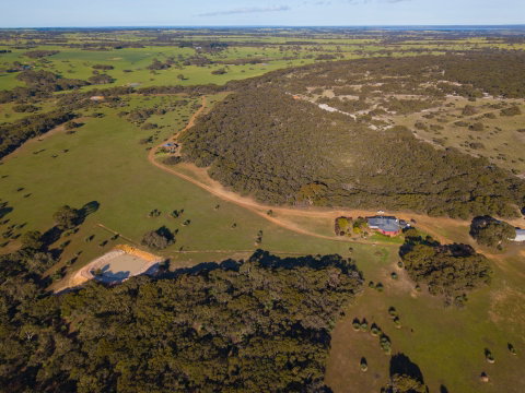 Eleanor River Homestead - Kingaroy Accommodation 1